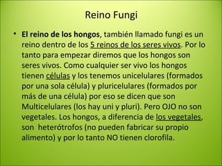Reino Fungi
• El reino de los hongos, también llamado fungi es un
reino dentro de los 5 reinos de los seres vivos. Por lo
tanto para empezar diremos que los hongos son
seres vivos. Como cualquier ser vivo los hongos
tienen células y los tenemos unicelulares (formados
por una sola célula) y pluricelulares (formados por
más de una célula) por eso se dicen que son
Multicelulares (los hay uni y pluri). Pero OJO no son
vegetales. Los hongos, a diferencia de los vegetales,
son heterótrofos (no pueden fabricar su propio
alimento) y por lo tanto NO tienen clorofila.
 