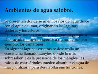 Se presentan donde se unen los ríos de agua dulce 
con el agua del mar, originando las lagunas 
costeras y los esteros. 
Estos ecosistemas son muy importantes porque a 
ellos acuden muchas especies a reproducirse, por 
ejemplo, los camarones. 
En algunas lagunas costeras se desarrolla un 
ecosistema llamado manglar, donde lo más 
sobresaliente es la presencia de los mangles; las 
raíces de estos árboles pueden absorber el agua de 
mar y utilizarla para desarrollar sus funciones. 
 