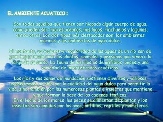 Son todos aquellos que tienen por hiopodo algún cuerpo de agua, 
como pueden ser: mares,oceanos,rios,lagos, riachuelos y lagunas, 
entre otros. Los dos tipos más destacados son: los ambientes 
marinos y los ambientes de agua dulce. 
El montante, variaciones y regularidad de las aguas de un río son de 
gran importancia para las plantas, animales y personas que viven a lo 
largo de su curso. La fauna de los ríos es de anfibios, peces y una 
variedad de invertebrados acuáticos. 
Los ríos y sus zonas de inundación sostienen diversos y valiosos 
ecosistemas, no sólo por la cualidad del agua dulce para permitir la 
vida, sino también por las numerosas plantas e insectos que mantiene 
y que forman la base de las cadenas troficas. 
En el lecho de los mares, los peces se alimentan de plantas y los 
insectos son comidos por las aves, anfibios, reptiles y mamíferos. 
 