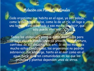 Relación con Plantas y Animales 
Cada organismo que habita en el agua, ya sea salada, 
como la del mar, o dulce, como la de un río, un lago o 
una laguna, está adaptado a ese medio, es decir, que 
sólo puede vivir ahí. 
Todos los animales y plantas están adaptados para 
vivir bajo ciertas condiciones de presión, temperatura, 
cantidad de sal disuelta, luz, etc. Si se les modifica 
mucho estas condiciones, los organismos no podrán 
sobrevivir. Sin embargo, tanto en el mar como en el 
agua dulce, existen comunidades en las que los 
animales y plantas dependen unos de otros. 
 