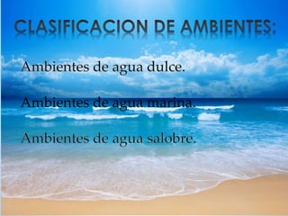 Ambientes de agua marina. 
 