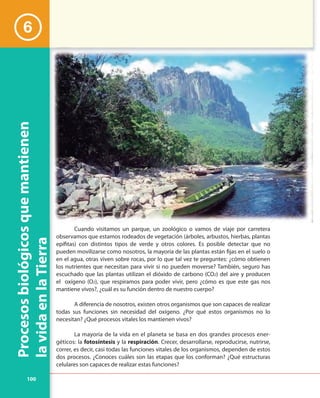 100
Procesosbiológicosquemantienen
lavidaenlaTierra
Cuando visitamos un parque, un zoológico o vamos de viaje por carretera
observamos que estamos rodeados de vegetación (árboles, arbustos, hierbas, plantas
epífitas) con distintos tipos de verde y otros colores. Es posible detectar que no
pueden movilizarse como nosotros, la mayoría de las plantas están fijas en el suelo o
en el agua, otras viven sobre rocas, por lo que tal vez te preguntes: ¿cómo obtienen
los nutrientes que necesitan para vivir si no pueden moverse? También, seguro has
escuchado que las plantas utilizan el dióxido de carbono (CO2) del aire y producen
el oxígeno (O2), que respiramos para poder vivir, pero ¿cómo es que este gas nos
mantiene vivos?, ¿cuál es su función dentro de nuestro cuerpo?
A diferencia de nosotros, existen otros organismos que son capaces de realizar
todas sus funciones sin necesidad del oxígeno. ¿Por qué estos organismos no lo
necesitan? ¿Qué procesos vitales los mantienen vivos?
La mayoría de la vida en el planeta se basa en dos grandes procesos ener-
géticos: la fotosíntesis y la respiración. Crecer, desarrollarse, reproducirse, nutrirse,
correr, es decir, casi todas las funciones vitales de los organismos, dependen de estos
dos procesos. ¿Conoces cuáles son las etapas que los conforman? ¿Qué estructuras
celulares son capaces de realizar estas funciones?
6
 