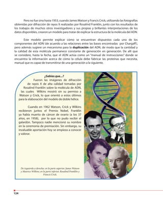 124
Pero no fue sino hasta 1953, cuando JamesWatson y Francis Crick, utilizando las fotografías
obtenidas por difracción de rayos X realizadas por Rosalind Franklin, junto con los resultados de
los trabajos de muchos otros investigadores y sus propias y brillantes interpretaciones de los
datos disponibles, crearon un modelo para tratar de explicar la estructura de la molécula del ADN.
Este modelo permite explicar cómo se encuentran dispuestos cada uno de los
componentes del ADN (de acuerdo a las relaciones entre las bases encontradas por Chargaff),
pero además sugiere un mecanismo para la duplicación del ADN, de modo que la cantidad y
la calidad de esta molécula permanece constante de generación en generación. De allí que
se considere, hasta la fecha, que el ADN actúa como un “manual de instrucciones” donde se
encuentra la información acerca de cómo la célula debe fabricar las proteínas que necesita,
manual que es capaz de transmitirse de una generación a la siguiente.
¿Sabías que...?
Fueron las imágenes de difracción
de rayos X de alta calidad tomadas por
Rosalind Franklin sobre la molécula de ADN,
las cuales Wilkins mostró sin su permiso a
Watson y Crick, lo que orientó a estos últimos
para la elaboración del modelo de doble hélice.
Cuando en 1962 Watson, Crick y Wilkins
recibieron juntos el Premio Nobel, Franklin
ya había muerto de cáncer de ovario (a los 37
años, en 1958), por lo que no pudo recibir el
galardón. Tampoco nadie mencionó su nombre
en la ceremonia de premiación. Sin embargo, su
invaluable aportación hoy se empieza a conocer
y valorar.
De izquierda a derecha: en la parte superior, James Watson
y Maurice Wilkins; en la parte inferior, Rosalind Franklin y
Francis Crick.
 