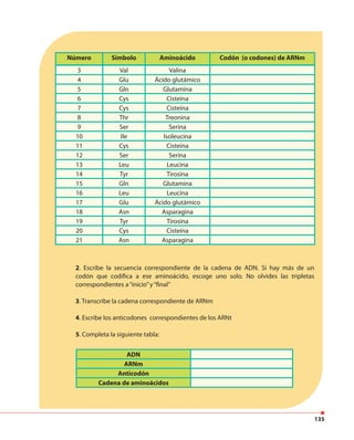 135
2. Escribe la secuencia correspondiente de la cadena de ADN. Si hay más de un
codón que codifica a ese aminoácido, escoge uno solo. No olvides las tripletas
correspondientes a“inicio”y“final”
3. Transcribe la cadena correspondiente de ARNm
4. Escribe los anticodones correspondientes de los ARNt
5. Completa la siguiente tabla:
Número Símbolo Aminoácido Codón (o codones) de ARNm
3 Val Valina
4 Glu Ácido glutámico
5 Gln Glutamina
6 Cys Cisteína
7 Cys Cisteína
8 Thr Treonina
9 Ser Serina
10 Ile Isoleucina
11 Cys Cisteína
12 Ser Serina
13 Leu Leucina
14 Tyr Tirosina
15 Gln Glutamina
16 Leu Leucina
17 Glu Ácido glutámico
18 Asn Asparagina
19 Tyr Tirosina
20 Cys Cisteína
21 Asn Asparagina
ADN
ARNm
Anticodón
Cadena de aminoácidos
 