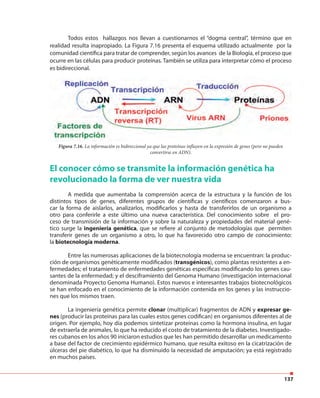 137
Todos estos hallazgos nos llevan a cuestionarnos el “dogma central”, término que en
realidad resulta inapropiado. La Figura 7.16 presenta el esquema utilizado actualmente por la
comunidad científica para tratar de comprender, según los avances de la Biología, el proceso que
ocurre en las células para producir proteínas. También se utiliza para interpretar cómo el proceso
es bidireccional.
El conocer cómo se transmite la información genética ha
revolucionado la forma de ver nuestra vida
A medida que aumentaba la comprensión acerca de la estructura y la función de los
distintos tipos de genes, diferentes grupos de científicas y científicos comenzaron a bus-
car la forma de aislarlos, analizarlos, modificarlos y hasta de transferirlos de un organismo a
otro para conferirle a este último una nueva característica. Del conocimiento sobre el pro-
ceso de transmisión de la información y sobre la naturaleza y propiedades del material gené-
tico surge la ingeniería genética, que se refiere al conjunto de metodologías que permiten
transferir genes de un organismo a otro, lo que ha favorecido otro campo de conocimiento:
la biotecnología moderna.
Entre las numerosas aplicaciones de la biotecnología moderna se encuentran: la produc-
ción de organismos genéticamente modificados (transgénicos), como plantas resistentes a en-
fermedades; el tratamiento de enfermedades genéticas específicas modificando los genes cau-
santes de la enfermedad; y el desciframiento del Genoma Humano (investigación internacional
denominada Proyecto Genoma Humano). Estos nuevos e interesantes trabajos biotecnológicos
se han enfocado en el conocimiento de la información contenida en los genes y las instruccio-
nes que los mismos traen.
La ingeniería genética permite clonar (multiplicar) fragmentos de ADN y expresar ge-
nes (producir las proteínas para las cuales estos genes codifican) en organismos diferentes al de
origen. Por ejemplo, hoy día podemos sintetizar proteínas como la hormona insulina, en lugar
de extraerla de animales, lo que ha reducido el costo de tratamiento de la diabetes. Investigado-
res cubanos en los años 90 iniciaron estudios que les han permitido desarrollar un medicamento
a base del factor de crecimiento epidérmico humano, que resulta exitoso en la cicatrización de
úlceras del pie diabético, lo que ha disminuido la necesidad de amputación; ya está registrado
en muchos países.
Figura 7.16. La información es bidireccional ya que las proteínas influyen en la expresión de genes (pero no pueden
convertirse en ADN).
 