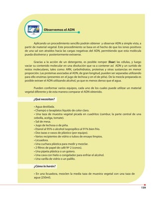 139
Observemos el ADN
Aplicando un procedimiento sencillo podrán obtener y observar ADN a simple vista, a
partir de material vegetal. Este procedimiento se basa en el hecho de que los iones positivos
de una sal son atraídos hacia las cargas negativas del ADN, permitiendo que esta molécula
pueda disolverse y posteriormente extraerse.
Gracias a la acción de un detergente, es posible romper (lisar) las células, y luego
vaciar su contenido molecular en una disolución que va a contener así ADN y un surtido de
restos moleculares, tales como: ARN, carbohidratos, proteínas y otras sustancias en menor
proporción. Las proteínas asociadas al ADN, de gran longitud, pueden ser separadas utilizando
para ello enzimas (presentes en el jugo de lechosa y en el de piña). De la mezcla preparada es
posible extraer el ADN utilizando alcohol, ya que es menos denso que el agua.
Pueden conformar varios equipos, cada uno de los cuales puede utilizar un material
vegetal diferente y de esta manera comparar el ADN obtenido.
¿Qué necesitan?
• Agua destilada.
• Champú o lavaplatos líquido de color claro.
• Una taza de muestra vegetal picada en cuadritos (cambur, la parte central de una
cebolla, acelga, tomate).
• Sal de mesa.
• Jugo de lechosa o de piña.
• Etanol al 95% o alcohol isopropílico al 91% bien frío.
• Dos tazas o vasos de plástico (por equipo).
• Varios recipientes de vidrio o tubos de ensayo limpios.
• Licuadora.
• Una cuchara plástica para medir y mezclar.
• 2 filtros de papel de café Nº 2 (conos).
• Una pipeta plástica o un gotero.
• Una cava con hielo o congelador para enfriar el alcohol.
• Una varilla de vidrio o un palillo.
¿Cómo lo harán?
• En una licuadora, mezclen la media taza de muestra vegetal con una taza de
agua (250ml).
 