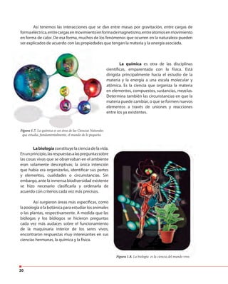 20
La química es otra de las disciplinas
científicas, emparentada con la física. Está
dirigida principalmente hacia el estudio de la
materia y la energía a una escala molecular y
atómica. Es la ciencia que organiza la materia
en elementos, compuestos, sustancias, mezclas.
Determina también las circunstancias en que la
materia puede cambiar, o que se formen nuevos
elementos a través de uniones y reacciones
entre los ya existentes.
Figura 1.7. La química es un área de las Ciencias Naturales
que estudia, fundamentalmente, el mundo de lo pequeño.
Figura 1.7. La química es un área de las Ciencias Naturales
La biología constituye la ciencia de la vida.
Enunprincipio,lasrespuestasalaspreguntassobre
las cosas vivas que se observaban en el ambiente
eran solamente descriptivas; la única intención
que había era organizarlas, identificar sus partes
y elementos, cualidades o circunstancias. Sin
embargo, ante la inmensa biodiversidad existente
se hizo necesario clasificarla y ordenarla de
acuerdo con criterios cada vez más precisos.
Así surgieron áreas más específicas, como
la zoología o la botánica para estudiar los animales
o las plantas, respectivamente. A medida que las
biólogas y los biólogos se hicieron preguntas
cada vez más audaces sobre el funcionamiento
de la maquinaria interior de los seres vivos,
encontraron respuestas muy interesantes en sus
ciencias hermanas, la química y la física.
Figura 1.8. La biología es la ciencia del mundo vivo.
Enunprincipio,lasrespuestasalaspreguntassobre
eran solamente descriptivas; la única intención
que había era organizarlas, identificar sus partes
se hizo necesario clasificarla y ordenarla de
la zoología o la botánica para estudiar los animales
de la maquinaria interior de los seres vivos,
Figura 1.8. La biología es la ciencia del mundo vivo.
Así tenemos las interacciones que se dan entre masas por gravitación, entre cargas de
formaeléctrica,entrecargasenmovimientoenformademagnetismo,entreátomosenmovimiento
en forma de calor. De esa forma, muchos de los fenómenos que ocurren en la naturaleza pueden
ser explicados de acuerdo con las propiedades que tengan la materia y la energía asociada.
 