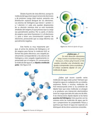 41
Figura 3.5. Puentes de hidrogeno.
Desde el punto de vista eléctrico, aunque la
molécula del agua tiene igual número de electrones
y de protones (carga total neutra), presenta una
distribución espacial desigual de sus electrones.
Los átomos de hidrógeno que tienen 1 protón (-)
y 1 electrón (+) cada uno, quedan desprovistos
de su electrón mientras éste se está moviendo
alrededor del oxígeno, lo que provoca que su carga
sea parcialmente positiva. Por su parte, el átomo
de oxígeno, que tiene 8 protones (+) y 8 electrones
(-), pasa a tener una concentración superior de
electrones, provocando que su carga eléctrica sea
parcialmente negativa.
Figura 3.4. Molécula dipolar del agua.Este hecho es muy importante por-
que, al unirse los átomos de hidrógeno y el
de oxígeno para formar la molécula H2O, se
forman dos polos eléctricos, uno cargado po-
sitivamente correspondiente a los átomos de
hidrógeno y otro cargado negativamente re-
presentado por el oxígeno. En consecuencia,
la molécula del agua es un dipolo o molécula
polar. (Ver figura 3.4)
¿Sabías que…?
En esta dirección electrónica
http://www.visionlearning.com/
library/x_linker.php?moid=2140
puedes consultar una simulación que
ayuda a comprender cómo se produce
el enlace covalente dipolar en una
molécula de agua.
¿Sabes qué ocurre cuando varias
moléculas de agua están juntas? Siempre que
tengamos agua en cualquiera de sus estados,
estaremos frente a muchas moléculas de
H2O interactuando entre sí. Su condición de
dipolo hace que estas moléculas se atraigan
y se produzca una interacción electrostática
entre las cargas parciales de cada una de ellas.
A las interacciones dipolo-dipolo se les llama
puentes de hidrógeno. Estos puentes son las
uniones entre las moléculas de agua, que le
van a proporcionar las propiedades físicas y
químicas que hacen el agua tan especial y la
distinguen de las otras sustancias conocidas.
 