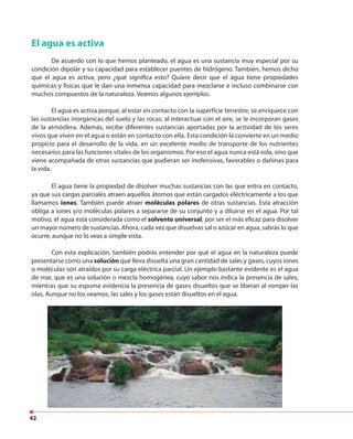 42
El agua tiene la propiedad de disolver muchas sustancias con las que entra en contacto,
ya que sus cargas parciales atraen aquellos átomos que están cargados eléctricamente a los que
llamamos iones. También puede atraer moléculas polares de otras sustancias. Esta atracción
obliga a iones y/o moléculas polares a separarse de su conjunto y a diluirse en el agua. Por tal
motivo, el agua está considerada como el solvente universal, por ser el más eficaz para disolver
un mayor número de sustancias. Ahora, cada vez que disuelvas sal o azúcar en agua, sabrás lo que
ocurre, aunque no lo veas a simple vista.
Con esta explicación, también podrás entender por qué el agua en la naturaleza puede
presentarse como una solución que lleva disuelta una gran cantidad de sales y gases, cuyos iones
o moléculas son atraídos por su carga eléctrica parcial. Un ejemplo bastante evidente es el agua
de mar, que es una solución o mezcla homogénea, cuyo sabor nos indica la presencia de sales,
mientras que su espuma evidencia la presencia de gases disueltos que se liberan al romper las
olas. Aunque no los veamos, las sales y los gases están disueltos en el agua.
El agua es activa
De acuerdo con lo que hemos planteado, el agua es una sustancia muy especial por su
condición dipolar y su capacidad para establecer puentes de hidrógeno. También, hemos dicho
que el agua es activa, pero ¿qué significa esto? Quiere decir que el agua tiene propiedades
químicas y físicas que le dan una inmensa capacidad para mezclarse e incluso combinarse con
muchos compuestos de la naturaleza. Veamos algunos ejemplos.
El agua es activa porque, al estar en contacto con la superficie terrestre, se enriquece con
las sustancias inorgánicas del suelo y las rocas; al interactuar con el aire, se le incorporan gases
de la atmósfera. Además, recibe diferentes sustancias aportadas por la actividad de los seres
vivos que viven en el agua o están en contacto con ella. Esta condición la convierte en un medio
propicio para el desarrollo de la vida, en un excelente medio de transporte de los nutrientes
necesarios para las funciones vitales de los organismos. Por eso el agua nunca está sola, sino que
viene acompañada de otras sustancias que pudieran ser inofensivas, favorables o dañinas para
la vida.
 