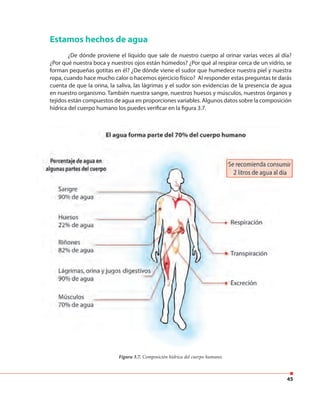 45
Estamos hechos de agua
¿De dónde proviene el líquido que sale de nuestro cuerpo al orinar varias veces al día?
¿Por qué nuestra boca y nuestros ojos están húmedos? ¿Por qué al respirar cerca de un vidrio, se
forman pequeñas gotitas en él? ¿De dónde viene el sudor que humedece nuestra piel y nuestra
ropa, cuando hace mucho calor o hacemos ejercicio físico? Al responder estas preguntas te darás
cuenta de que la orina, la saliva, las lágrimas y el sudor son evidencias de la presencia de agua
en nuestro organismo. También nuestra sangre, nuestros huesos y músculos, nuestros órganos y
tejidos están compuestos de agua en proporciones variables. Algunos datos sobre la composición
hídrica del cuerpo humano los puedes verificar en la figura 3.7.
Figura 3.7. Composición hídrica del cuerpo humano.
 