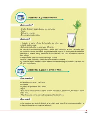 51
Experiencia 4. ¡Tallos sedientos!
¿Qué necesitan?
• 3 tallos de celery o apio España con sus hojas.
• Agua.
• Colorante vegetal.
• Tres recipientes de vidrio.
¿Qué harán?
• Cortarán la parte inferior de los tallos de celery para
retirar la parte reseca.
• Colocarán cada tallo en un envase diferente.
• A uno de los envases le agregarán 100ml de agua coloreada. Al otro, 100 ml de agua
sin colorear. Al tercer envase no le agregarán nada. Dejarán su montaje en el laboratorio
por espacio de tres días y verificarán lo ocurrido en cada tallo de celery al cabo de
este tiempo.
• Observarán si aprecian cambios en hojas y tallos.
• Podrán cortar los tallos y apreciar qué ocurrió en su interior.
• ¿Observan alguna diferencia entre el tallo colocado en el agua coloreada y el colocado
en agua sin colorear?
Experiencia 5. ¿Cuál es el mejor filtro?
¿Qué necesitan?
• 1 botella plástica de 1,5 a 2 litros.
• 1 colador.
• 1 jarra o recipiente de boca ancha.
• Agua.
• Sustancias sólidas diversas: tierra, aserrín, hojas secas, tiza molida, trocitos de papel.
entre otras.
• Algodón, gasa, arena, grava y trozos pequeños de carbón.
¿Qué harán?
• Con cuidado, cortarán la botella a la mitad para usar el pico como embudo y lo
colocarán sobre la otra mitad de la botella.
 