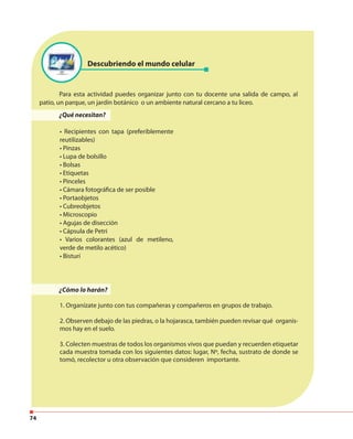 74
Para esta actividad puedes organizar junto con tu docente una salida de campo, al
patio, un parque, un jardín botánico o un ambiente natural cercano a tu liceo.
Descubriendo el mundo celular
¿Qué necesitan?
• Recipientes con tapa (preferiblemente
reutilizables)
• Pinzas
• Lupa de bolsillo
• Bolsas
• Etiquetas
• Pinceles
• Cámara fotográfica de ser posible
• Portaobjetos
• Cubreobjetos
• Microscopio
• Agujas de disección
• Cápsula de Petri
• Varios colorantes (azul de metileno,
verde de metilo acético)
• Bisturí
¿Cómo lo harán?
1. Organízate junto con tus compañeras y compañeros en grupos de trabajo.
2. Observen debajo de las piedras, o la hojarasca, también pueden revisar qué organis-
mos hay en el suelo.
3. Colecten muestras de todos los organismos vivos que puedan y recuerden etiquetar
cada muestra tomada con los siguientes datos: lugar, Nº, fecha, sustrato de donde se
tomó, recolector u otra observación que consideren importante.
 