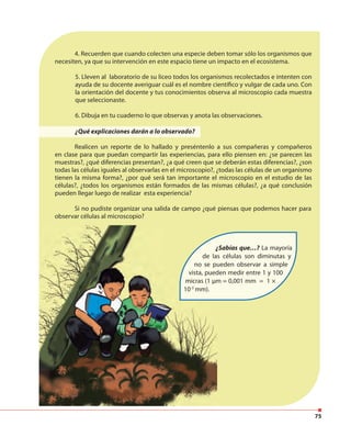 75
¿Sabías que…? La mayoría
de las células son diminutas y
no se pueden observar a simple
vista, pueden medir entre 1 y 100
micras (1 µm = 0,001 mm = 1 ×
10-3
mm).
¿Sabías que…?
de las células son diminutas y
no se pueden observar a simple
vista, pueden medir entre 1 y 100
micras (1 µm = 0,001 mm = 1 ×
10-3
mm).
4. Recuerden que cuando colecten una especie deben tomar sólo los organismos que
necesiten, ya que su intervención en este espacio tiene un impacto en el ecosistema.
5. Lleven al laboratorio de su liceo todos los organismos recolectados e intenten con
ayuda de su docente averiguar cuál es el nombre científico y vulgar de cada uno. Con
la orientación del docente y tus conocimientos observa al microscopio cada muestra
que seleccionaste.
6. Dibuja en tu cuaderno lo que observas y anota las observaciones.
¿Qué explicaciones darán a lo observado?
Realicen un reporte de lo hallado y preséntenlo a sus compañeras y compañeros
en clase para que puedan compartir las experiencias, para ello piensen en: ¿se parecen las
muestras?, ¿qué diferencias presentan?, ¿a qué creen que se deberán estas diferencias?, ¿son
todas las células iguales al observarlas en el microscopio?, ¿todas las células de un organismo
tienen la misma forma?, ¿por qué será tan importante el microscopio en el estudio de las
células?, ¿todos los organismos están formados de las mismas células?, ¿a qué conclusión
pueden llegar luego de realizar esta experiencia?
Si no pudiste organizar una salida de campo ¿qué piensas que podemos hacer para
observar células al microscopio?
 