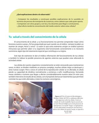 80
¿Qué explicaciones darán a lo observado?
• Comparen los resultados y construyan posibles explicaciones de lo sucedido en
terminos de proceso de transporte de sustancia y otros saberes que cada quien aporte.
• Compartan con otros grupos y con las y los docentes para llegar a conclusiones.
• ¿Qué efecto tendrá la concentración del medio exterior sobre estas células?
Tu salud a través del conocimiento de la célula
El conocimiento de la célula y su funcionamiento nos permite comprender mejor cómo
funciona nuestro cuerpo. ¿Te has preguntado por qué cuando vas al médico siempre te piden un
examen de sangre, heces u orina? La razón es que estos exámenes arrojan un análisis químico
minucioso que permite saber si tu organismo está funcionando correctamente o es necesario
suministrar algún tipo de tratamiento especial que contribuya a su mejora.
Este tipo de exámenes le dan al médico información del funcionamiento de tus células
y también le indican la posible presencia de agentes externos que puedan estar alterando la
actividad celular.
Las células de nuestro organismo constantemente se están renovando para mantenernos
sanos, es decir, se dividen mediante un proceso complejo, muchas células viejas se destruyen y
otras nuevas surgen. Pero a veces el control de la reproducción celular se ve afectado, la célula
pierde su capacidad de dividirse normalmente y comienza a sufrir modificaciones, formando
masas celulares o tumores que llegan a afectar considerablemente nuestra salud. En este caso,
también interviene el estudio de las células, con el propósito de buscar tratamientos que permitan
controlar las que estén afectadas y tratar los tumores cancerígenos.
Figura 4.17 En el Centro de Microbiología y
Biología Celular del IVIC se adelantan diferentes
investigaciones sobre las células. Como un
estudio de Lizeth Caraballo, bajo la asesoría de
su tutor Howard Takiff, acerca de la presencia de
leptospirosis en el estado Vargas. La leptospirosis
es una enfermedad causada por una bacteria y
afecta a las células de nuestro cuerpo, en especial a
las del riñón.
Fuente: IVIC.
 