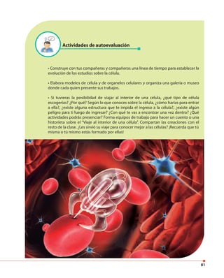81
Actividades de autoevaluación
• Construye con tus compañeras y compañeros una línea de tiempo para establecer la
evolución de los estudios sobre la célula.
• Elabora modelos de célula y de organelos celulares y organiza una galería o museo
donde cada quien presente sus trabajos.
• Si tuvieras la posibilidad de viajar al interior de una célula, ¿qué tipo de célula
escogerías? ¿Por qué? Según lo que conoces sobre la célula, ¿cómo harías para entrar
a ella?, ¿existe alguna estructura que te impida el ingreso a la célula?, ¿existe algún
peligro para ti luego de ingresar? ¿Con qué te vas a encontrar una vez dentro? ¿Qué
actividades podrás presenciar? Forma equipos de trabajo para hacer un cuento o una
historieta sobre el “Viaje al interior de una célula”. Compartan las creaciones con el
resto de la clase. ¿Les sirvió su viaje para conocer mejor a las células? ¡Recuerda que tú
misma o tú mismo estás formado por ellas!
 
