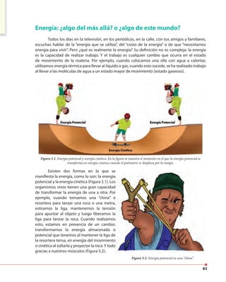 83
Energía: ¿algo del más allá? o ¿algo de este mundo?
Todos los días en la televisión, en los periódicos, en la calle, con tus amigos y familiares,
escuchas hablar de la “energía que se utiliza”, del “costo de la energía” o de que “necesitamos
energía para vivir”. Pero ¿qué es realmente la energía? Su definición no es compleja: la energía
es la capacidad de realizar trabajo. Y el trabajo es cualquier cambio que ocurra en el estado
de movimiento de la materia. Por ejemplo, cuando colocamos una olla con agua a calentar,
utilizamos energía térmica para llevar al líquido a gas, cuando esto sucede, se ha realizado trabajo
al llevar a las moléculas de agua a un estado mayor de movimiento (estado gaseoso).
Figura 5.1. Energía potencial y energía cinética. En la figura se muestra el momento en el que la energía potencial se
transforma en energía cinetica cuando el patinetero se desplaza por la rampa.
Existen dos formas en la que se
manifiesta la energía, como lo son: la energía
potencial y la energía cinética (Figura 5.1). Los
organismos vivos tienen una gran capacidad
de transformar la energía de una a otra. Por
ejemplo, cuando tomamos una “china” o
resortera para lanzar una roca o una metra,
estiramos la liga, mantenemos la tensión
para apuntar al objeto y luego liberamos la
liga para lanzar la roca. Cuando realizamos
esto, estamos en presencia de un cambio:
transformamos la energía almacenada o
potencial que tenemos al mantener la liga de
la resortera tensa, en energía del movimiento
o cinética al soltarla y proyectar la roca.Y todo
gracias a nuestros músculos (Figura 5.2).
Existen dos formas en la que se
manifiesta la energía, como lo son: la energía
potencial y la energía cinética (Figura 5.1). Los
organismos vivos tienen una gran capacidad
de transformar la energía de una a otra. Por
ejemplo, cuando tomamos una “china” o
resortera para lanzar una roca o una metra,
estiramos la liga, mantenemos la tensión
para apuntar al objeto y luego liberamos la
liga para lanzar la roca. Cuando realizamos
esto, estamos en presencia de un cambio:
transformamos la energía almacenada o
potencial que tenemos al mantener la liga de
la resortera tensa, en energía del movimiento
o cinética al soltarla y proyectar la roca.Y todo
Figura 5.2. Energía potencial en una “china”.
 
