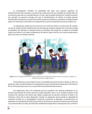 84
La investigación científica ha planteado dos leyes que parecen gobernar las
transformaciones de la energía. La primera ley señala que hay una cantidad de energía finita en
el universo y que ésta no se puede destruir, ni crear, solo se puede transformar. Cuando corremos,
por ejemplo, no gastamos energía sino que la transformamos. En efecto, la energía química
almacenada en las grasas y azúcares de nuestro cuerpo se transforma: una parte en energía cinética
(pues nos movemos), y otra parte en energía térmica, pues la temperatura aumenta. (Figura 5.3).
La segunda ley señala que los procesos en el Universo tienen una dirección de cambio,
van de un estado alto de energía hasta uno más bajo de energía y después de un tiempo se llega
al equilibrio. Por ejemplo, la energía térmica se transfiere del cuerpo de un atleta en actividad
(lugar más caliente, con mayor temperatura) al entorno (lugar más frío, con menor temperatura),
pero no lo hace en sentido contrario.
Al transformarse una energía en otra, es inevitable que parte de ella se disipe, es decir, se
produzca calor, transformándose en energía térmica que incrementa la temperatura del entorno.
No se conoce por qué esto es así, es parte del funcionamiento del universo.
Los organismos vivos y las moléculas que los componen son sistemas ordenados en un
Universo que tiende de manera natural al mayor desorden. Para ir en el sentido contrario al del
Universo, los sistemas vivos tienen que utilizar energía que les permita mantener el orden y no
inclinarse a favor de la mayor dispersión. Cuando un organismo muere pierde la capacidad de
mantener el orden en su complejidad y comienza a aumentar su desorden, se desestructura. La
dispersión es la tendencia de todo lo que existe en el Universo y uno de los sistemas que lucha para
ir en contra de ello es la vida, que tiene alta cantidad de energía útil en comparación con su entorno.
pero no lo hace en sentido contrario.
Figura 5.3. En el desplazamiento de los niños se aprovecha la energía química para moverse y otra parte se disipa en el
ambiente en forma de energía térmica.
 