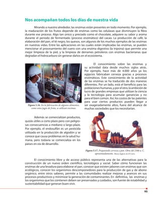95
Nos acompañan todos los días de nuestra vida
Mirando a nuestro alrededor, las enzimas están presentes en todo momento. Por ejemplo,
la maduración de los frutos depende de enzimas como las celulasas que disminuyen la fibra
durante ese proceso. Algo tan único y preciado como el chocolate, adquiere su sabor y aroma
durante el periodo de fermentado (proceso enzimático) del cacao. La producción de café, la
elaboración del pan, el té negro, los quesos, son algunos de los muchos ejemplos de las enzimas
en nuestras vidas. Entre las aplicaciones en las cuales están implicadas las enzimas, se pueden
mencionar el procesamiento del cuero con una enzima digestiva (la tripsina) que permite una
mejor limpieza de la piel, y la limpieza de derrames petroleros con enzimas bacterianas que
degradan el hidrocarburo sin generar daños en el ecosistema.
Figura 5.16. En la fabricación de algunos alimentos,
como estos jugos de fruta, se utilizan enzimas.
Además se comercializan productos,
quizás útiles a corto plazo pero con peligro-
sas consecuencias a mediano o largo plazo.
Por ejemplo, el endosulfán es un pesticida
utilizado en la producción de algodón y se
conoce que causa problemas en la salud hu-
mana, pero todavía se comercializa en los
países en vía de desarrollo.
Figura 5.17. Preparando cerveza y pan. Obra del 2300 a. C.
aproximadamente. Museo Egipcio de El Cairo.
El conocimiento sobre las enzimas y
su actividad data desde muchos siglos atrás.
Por ejemplo, hace más de 4.000 años ya los
egipcios fabricaban cerveza gracias a procesos
enzimáticos. Este conocimiento de la actividad
de las enzimas se ha traducido de dos maneras
diferentes. Por un lado, está el beneficio para las
poblacioneshumanas,yporelotro,laambiciónde
lucro de grandes empresas que utilizan la ciencia
y la tecnología para acumular ganancias y no
para el bien común. Así, los costos de las patentes
para usar ciertos productos pueden llegar a
ser exageradamente altos, fuera del alcance de
muchas sociedades que los necesitarían.
El conocimiento libre y de acceso público representa una de las alternativas para la
construcción de un nuevo orden científico, tecnológico y social. Saber cómo funcionan las
enzimas de una levadura para elaborar el pan, conocer que existen jabones con enzimas que son
ecológicos, conocer los organismos descomponedores para la producción de gas y de abono
orgánico, entre otros saberes, permite a las comunidades realizar mejoras y avances en sus
procesos productivos y minimizar la generación de contaminantes. En definitiva, las enzimas y
los organismos que los contienen deben ser preservados y cuidados, son fuente de estabilidad y
sustentabilidad que generan buen vivir.
 