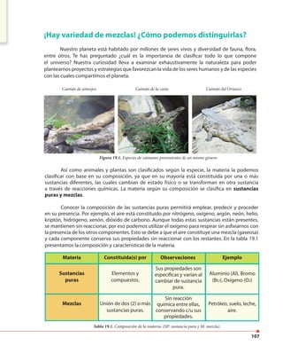 107
¡Hay variedad de mezclas! ¿Cómo podemos distinguirlas?
Nuestro planeta está habitado por millones de seres vivos y diversidad de fauna, flora,
entre otros. Te has preguntado ¿cuál es la importancia de clasificar todo lo que compone
el universo? Nuestra curiosidad lleva a examinar exhaustivamente la naturaleza para poder
plantearnos proyectos y estrategias que favorezcan la vida de los seres humanos y de las especies
con las cuales compartimos el planeta.
Caimán de anteojos Caimán de la costa Caimán del Orinoco
Figura 19.1. Especies de caimanes provenientes de un mismo género.
Así como animales y plantas son clasificados según la especie, la materia la podemos
clasificar con base en su composición, ya que en su mayoría está constituida por una o más
sustancias diferentes, las cuales cambian de estado físico o se transforman en otra sustancia
a través de reacciones químicas. La materia según su composición se clasifica en sustancias
puras y mezclas.
Conocer la composición de las sustancias puras permitirá emplear, predecir y proceder
en su presencia. Por ejemplo, el aire está constituido por nitrógeno, oxígeno, argón, neón, helio,
kriptón, hidrógeno, xenón, dióxido de carbono. Aunque todas estas sustancias están presentes,
se mantienen sin reaccionar, por eso podemos utilizar el oxígeno para respirar sin asfixiarnos con
la presencia de los otros componentes. Esto se debe a que el aire constituye una mezcla (gaseosa)
y cada componente conserva sus propiedades sin reaccionar con los restantes. En la tabla 19.1
presentamos la composición y características de la materia.
Sustancias
puras
Elementos y
compuestos.
Aluminio (Al), Bromo
(Br2), Oxígeno (O2)
Mezclas Unión de dos (2) o más
sustancias puras.
Petróleo, suelo, leche,
aire.
Tabla 19.1. Composición de la materia. (SP: sustancia pura y M: mezcla).
EjemploObservacionesConstituida(s) porMateria
Sus propiedades son
específicas y varían al
cambiar de sustancia
pura.
Sin reacción
química entre ellas,
conservando c/u sus
propiedades.
 