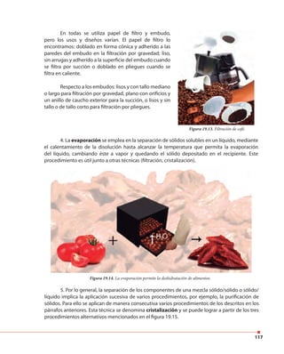 117
En todas se utiliza papel de filtro y embudo,
pero los usos y diseños varían. El papel de filtro lo
encontramos: doblado en forma cónica y adherido a las
paredes del embudo en la filtración por gravedad; liso,
sin arrugas y adherido a la superficie del embudo cuando
se filtra por succión o doblado en pliegues cuando se
filtra en caliente.
Respecto a los embudos: lisos y con tallo mediano
o largo para filtración por gravedad, plano con orificios y
un anillo de caucho exterior para la succión, o lisos y sin
tallo o de tallo corto para filtración por pliegues.
Figura 19.13. Filtración de café.
4. La evaporación se emplea en la separación de sólidos solubles en un líquido, mediante
el calentamiento de la disolución hasta alcanzar la temperatura que permita la evaporación
del líquido, cambiando éste a vapor y quedando el sólido depositado en el recipiente. Este
procedimiento es útil junto a otras técnicas (filtración, cristalización).
Figura 19.14. La evaporación permite la deshidratación de alimentos.
5. Por lo general, la separación de los componentes de una mezcla sólido/sólido o sólido/
líquido implica la aplicación sucesiva de varios procedimientos, por ejemplo, la purificación de
sólidos. Para ello se aplican de manera consecutiva varios procedimientos de los descritos en los
párrafos anteriores. Esta técnica se denomina cristalización y se puede lograr a partir de los tres
procedimientos alternativos mencionados en el figura 19.15.
 