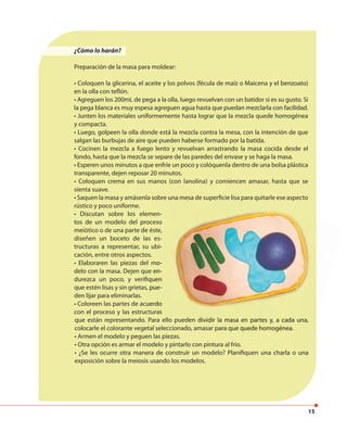 15
• Discutan sobre los elemen-
tos de un modelo del proceso
meiótico o de una parte de éste,
diseñen un boceto de las es-
tructuras a representar, su ubi-
cación, entre otros aspectos.
• Elaboraren las piezas del mo-
delo con la masa. Dejen que en-
durezca un poco, y verifiquen
que estén lisas y sin grietas, pue-
den lijar para eliminarlas.
• Coloreen las partes de acuerdo
con el proceso y las estructuras
que están representando. Para ello pueden dividir la masa en partes y, a cada una,
colocarle el colorante vegetal seleccionado, amasar para que quede homogénea.
• Armen el modelo y peguen las piezas.
• Otra opción es armar el modelo y pintarlo con pintura al frío.
• ¿Se les ocurre otra manera de construir un modelo? Planifiquen una charla o una
exposición sobre la meiosis usando los modelos.
tructuras a representar, su ubi-
• Elaboraren las piezas del mo-
delo con la masa. Dejen que en-
durezca un poco, y verifiquen
que estén lisas y sin grietas, pue-
• Coloreen las partes de acuerdo
con el proceso y las estructuras
que están representando. Para ello pueden dividir la masa en partes y, a cada una,
colocarle el colorante vegetal seleccionado, amasar para que quede homogénea.
• ¿Se les ocurre otra manera de construir un modelo? Planifiquen una charla o una
¿Cómo lo harán?
Preparación de la masa para moldear:
• Coloquen la glicerina, el aceite y los polvos (fécula de maíz o Maicena y el benzoato)
en la olla con teflón.
• Agreguen los 200mL de pega a la olla, luego revuelvan con un batidor si es su gusto. Si
la pega blanca es muy espesa agreguen agua hasta que puedan mezclarla con facilidad.
• Junten los materiales uniformemente hasta lograr que la mezcla quede homogénea
y compacta.
• Luego, golpeen la olla donde está la mezcla contra la mesa, con la intención de que
salgan las burbujas de aire que pueden haberse formado por la batida.
• Cocinen la mezcla a fuego lento y revuelvan arrastrando la masa cocida desde el
fondo, hasta que la mezcla se separe de las paredes del envase y se haga la masa.
• Esperen unos minutos a que enfríe un poco y colóquenla dentro de una bolsa plástica
transparente, dejen reposar 20 minutos.
• Coloquen crema en sus manos (con lanolina) y comiencen amasar, hasta que se
sienta suave.
• Saquen la masa y amásenla sobre una mesa de superficie lisa para quitarle ese aspecto
rústico y poco uniforme.
 