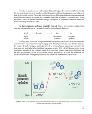 155
Por otra parte, el segundo y último paso (Figura 21.7, paso 2) comprende la formación de
los nuevos enlaces necesarios para la constitución de dos moléculas de agua, proceso mediante el
cual se desprende energía. Como la energía que se libera al formar enlaces de moléculas de agua
es mayor que la energía requerida para romper los enlaces de hidrógeno y oxígeno, la reacción es
exotérmica y esto se indica colocando la energía como parte de los productos en la ecuación de
formación de agua mostrada antes.
La descomposición del agua (reacción inversa). Esta es una reacción endotérmica,
necesita energía del entorno, y la ecuación que la representa es la siguiente:
Comopuedesobservarlaenergíasehalladelladodelosreactivosenlaecuación,indicando
que la reacción requiere del entorno, energía para la descomposición del agua. En este proceso,
los enlaces de cada hidrógeno y el oxígeno (H-O) se rompen, lo cual requiere del suministro de
energía y, por otro lado, la formación de los nuevos enlaces (H-H y O=O) libera energía. Como
se requiere suministrar una cantidad mayor de energía para romper los enlaces de la molécula
de agua, en comparación con la cantidad de energía que se libera al formar los enlaces de las
moléculas productos (hidrógeno y oxígeno), este proceso es endotérmico (Figura 21.8).
Figura 21.8. Proceso de ruptura de enlaces, en un primer paso (molécula de agua) y formación de nuevos enlaces en un
segundo paso (hidrógeno y oxígeno gaseoso).
Comopuedesobservarlaenergíasehalladelladodelosreactivosenlaecuación,indicando
 