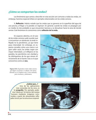 214
¿Cómo se comportan las ondas?
Los fenómenos que vamos a describir en esta sección son comunes a todas las ondas, sin
embargo, haremos especial énfasis en ejemplos relacionados con las ondas sonoras.
1. Reflexión. Habrás notado que las ondas que se generan en la superficie del agua de
una piscina, al llegar a la paredes se regresan. En general, cuando las ondas se propagan por
un medio, lo más probable es que encuentren barreras y se devuelvan hacia la zona de donde
venían. Este fenómeno lo conocemos como reflexión de la onda.
En espacios abiertos, en el caso
de las ondas sonoras suele suceder que
si encuentran un obstáculo, la onda re-
flejada no la percibimos, ya que tiene
poca intensidad. Sin embargo, en es-
pacios cerrados como una cueva o un
gran salón vacío, las ondas viajan con
mayor intensidad; y al reflejarse en las
paredes, las percibimos con claridad y
las distinguimos de las que vienen di-
rectamente de la fuente. Esto es lo que
conocemos como un eco.
Figura 24.8. El gúacharo emite ondas sonoras
que llegan a la pared y se reflejan. Este efecto,
llamado eco, lo emplean estos y otros animales,
para orientarse y alimentarse.
¿Sabías que...?
Una de las aplicaciones
más conocidas de los ecos, es
la ecografía. Por ejemplo, pode-
mos“observar”el interior del cuerpo
humano mediante imágenes cons-
truidos a partir de ultrasonidos refle-
jados (ecos) por la estructura corporal.
 