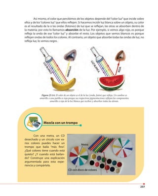 237
Así mismo, el color que percibimos de los objetos depende del“color luz”que incide sobre
ellos y de los“colores luz”que ellos reflejen. Si hacemos incidir luz blanca sobre un objeto, su color
es el resultado de la o las ondas (fotones) de luz que se reflejan, las otras se absorben dentro de
la materia; por esto lo llamamos absorción de la luz. Por ejemplo, si vemos algo rojo, es porque
refleja la onda de ese “color luz” y absorbe el resto. Los objetos que vemos blancos es porque
reflejan ondas de todos los colores. Al contrario, un objeto que absorbe todas las ondas de luz, no
refleja luz, lo vemos negro.
Figura 25.14. El color de un objeto es el de la luz (onda, fotón) que refleja. Un cambur es
amarillo o una patilla es roja porque sus respectivas pigmentaciones reflejan las componentes
amarillo o roja de la luz blanca que reciben y absorben todas las demás.
Mezcla con un trompo
Con una metra, un CD
desechado y un círculo con va-
rios colores puedes hacer un
trompo que baila “más fino”.
¿Qué colores tiene cuando está
quieto? ¿Y cuando está bailan-
do? Construye una explicación
argumentada para esta expe-
riencia y compártela.
 