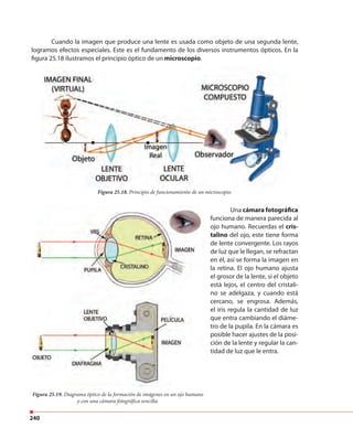 240
Cuando la imagen que produce una lente es usada como objeto de una segunda lente,
logramos efectos especiales. Este es el fundamento de los diversos instrumentos ópticos. En la
figura 25.18 ilustramos el principio óptico de un microscopio.
Figura 25.18. Principio de funcionamiento de un microscopio.
Una cámara fotográfica
funciona de manera parecida al
ojo humano. Recuerdas el cris-
talino del ojo, este tiene forma
de lente convergente. Los rayos
de luz que le llegan, se refractan
en él, así se forma la imagen en
la retina. El ojo humano ajusta
el grosor de la lente, si el objeto
está lejos, el centro del cristali-
no se adelgaza, y cuando está
cercano, se engrosa. Además,
el iris regula la cantidad de luz
que entra cambiando el diáme-
tro de la pupila. En la cámara es
posible hacer ajustes de la posi-
ción de la lente y regular la can-
tidad de luz que le entra.
Figura 25.19. Diagrama óptico de la formación de imágenes en un ojo humano
y con una cámara fotográfica sencilla.
 