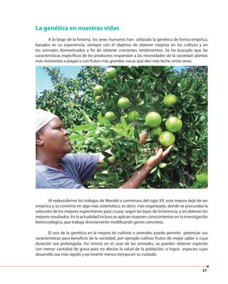 37
La genética en nuestras vidas
A lo largo de la historia, los seres humanos han utilizado la genética de forma empírica,
basados en su experiencia, siempre con el objetivo de obtener mejoras en los cultivos y en
los animales domesticados a fin de obtener crecientes rendimientos. Se ha buscado que las
características específicas de los productos respondan a las necesidades de la sociedad: plantas
más resistentes a plagas o con frutos más grandes, vacas que den más leche, entre otras.
Al redescubrirse los trabajos de Mendel a comienzos del siglo XX, esta mejora dejó de ser
empírica y se convirtió en algo más sistemático, es decir, más organizado, donde se procuraba la
selección de los mejores especímenes para cruzar, según las leyes de la herencia, y así obtener los
mejores resultados. En la actualidad incluso se aplican mayores conocimientos en la investigación
biotecnológica, que trabaja directamente modificando genes concretos.
El uso de la genética en la mejora de cultivos o animales puede permitir potenciar sus
características para beneficio de la sociedad, por ejemplo cultivar frutos de mejor sabor o cuya
duración sea prolongada. Así mismo en el caso de los animales, se pueden obtener especies
con menor cantidad de grasa para no afectar la salud de la población, o lograr especies cuyo
desarrollo sea más rápido y así invertir menos tiempo en su cuidado.
 