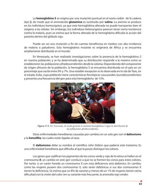 63
La hemoglobina S se origina por una mutación puntual en el sexto codón de la cadena
tipo β, de modo que el aminoácido glutamina es sustituido por valina. La anemia se produce
en los individuos homocigotos, ya que esta hemoglobina alterada no puede transportar bien el
oxígeno a las células. Sin embargo, los individuos heterocigotos parecen tener cierta resistencia
contra la malaria, pues se estima que la forma alterada de la hemoglobina dificulta la acción del
parásito dentro del glóbulo rojo.
Puede ser así una mutación a fin de cuentas beneficiosa en medios con alta incidencia
de malaria o paludismo. Esta hemoglobina mutante es originaria de África y se encuentra
ampliamente distribuida en el mundo.
Figura 17.5. En Venezuela, de modo general, la mutante hemoglobina S sigue la distribución de
las poblaciones afrodescendientes.
En Venezuela, se han realizado investigaciones sobre la presencia de la hemoglobina S
en nuestra población, y se ha determinado que su distribución responde a la manera como se
establecieron las poblaciones afrodescendientes desde la colonia. Dependiendo del componente
de origen africano de la población, la hemoglobina S se encuentra distribuida en el país en un
porcentaje que oscila entre 0% y 7%. Una notable excepción es la observada en la isla de Toas, en
el estado Zulia, cuya población tiene características fenotípicas caucasoides (eurodescendientes)
y presenta una frecuencia del gen para esta hemoglobina de 13%.
Otras enfermedades hereditarias causadas por cambios en un solo gen son el daltonismo
y la hemofilia, las cuales están ligadas al sexo.
El daltonismo debe su nombre al científico John Dalton que padecía este trastorno. Es
una enfermedad hereditaria que dificulta al que la posee distinguir los colores.
Los genes que codifican los pigmentos de los conos verde y rojo de la retina se hallan en el
cromosoma X; un cambio en este gen conduce a que no se formen los conos para estos colores.
Por tanto, si un varón hereda un cromosoma X con esta deficiencia será daltónico. En cambio,
como las mujeres poseen dos cromosomas X, solo serán daltónicas si sus dos cromosomas X
tienen la deficiencia. Se estima que un 8% de varones y menos de un 1% de mujeres tienen cierta
dificultad con la visión del color (en su variante más frecuente, la anomalía rojo-verde).
 