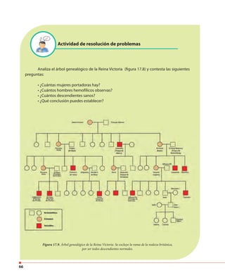 66
Actividad de resolución de problemas
Analiza el árbol genealógico de la Reina Victoria (figura 17.8) y contesta las siguientes
preguntas:
• ¿Cuántas mujeres portadoras hay?
• ¿Cuántos hombres hemofílicos observas?
• ¿Cuántos descendientes sanos?
• ¿Qué conclusión puedes establecer?
Figura 17.9. Árbol genealógico de la Reina Victoria. Se excluye la rama de la realeza británica,
por ser todos descendientes normales.
 