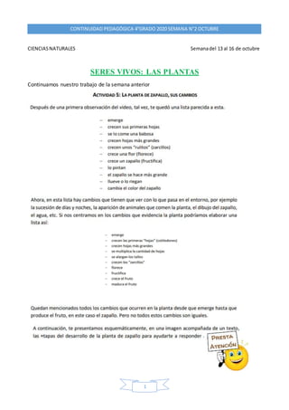 CONTINUIDAD PEDAGÓGICA 4°GRADO 2020 SEMANA N°2 OCTUBRE
1
CIENCIASNATURALES Semanadel 13 al 16 de octubre
SERES VIVOS: LAS ...