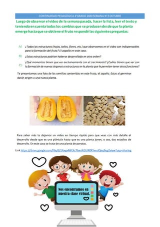 CONTINUIDAD PEDAGÓGICA 4°GRADO 2020 SEMANA N°2 OCTUBRE
3
Luego de observar el videode la semanapasada, hacer la lista, lee...