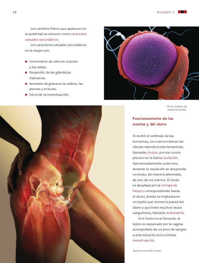 Libro De Ciencias Naturales Quinto Grado