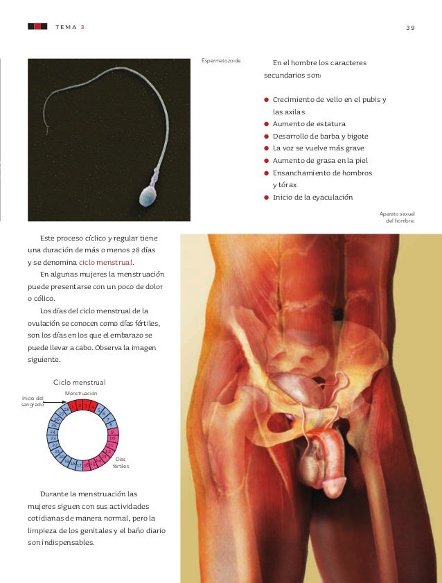 Libro De Ciencias Naturales Quinto Grado