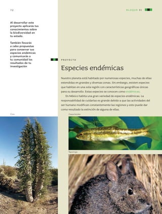 Especies endémicas
Nuestro planeta está habitado por numerosas especies, muchas de ellas
extendidas en grandes y diversas zonas. Sin embargo, existen especies
que habitan en una sola región con características geográficas únicas
para su desarrollo. Estas especies se conocen como endémicas.
En México habita una gran variedad de especies endémicas. La
responsabilidad de cuidarlas es grande debido a que las actividades del
ser humano modifican constantemente las regiones y esto puede dar
como resultado la extinción de alguna de ellas.
Al desarrollar este
proyecto aplicarás tus
conocimientos sobre
la biodiversidad en
tu estado.
También llevarás
a cabo propuestas
para conservar sus
especies endémicas
y comunicarás a
tu comunidad los
resultados de tu
investigación
proyecto
bloque iI72
Teporingo.
Cirio. Carpa bicolor.
AB-CN-5-P-001-160.indd 72 22/11/11 17:51
 