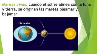 Mareas vivas: cuando el sol se alinea con la luna
y tierra, se originan las mareas pleamar y
bajamar
 