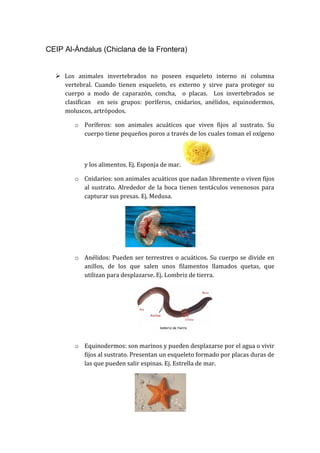 CEIP Al-Ándalus (Chiclana de la Frontera)
 Los animales invertebrados no poseen esqueleto interno ni columna
vertebral. Cuando tienen esqueleto, es externo y sirve para proteger su
cuerpo a modo de caparazón, concha, o placas. Los invertebrados se
clasifican en seis grupos: poríferos, cnidarios, anélidos, equinodermos,
moluscos, artrópodos.
o Poríferos: son animales acuáticos que viven fijos al sustrato. Su
cuerpo tiene pequeños poros a través de los cuales toman el oxígeno
y los alimentos. Ej. Esponja de mar.
o Cnidarios: son animales acuáticos que nadan libremente o viven fijos
al sustrato. Alrededor de la boca tienen tentáculos venenosos para
capturar sus presas. Ej. Medusa.
o Anélidos: Pueden ser terrestres o acuáticos. Su cuerpo se divide en
anillos, de los que salen unos filamentos llamados quetas, que
utilizan para desplazarse. Ej. Lombriz de tierra.
o Equinodermos: son marinos y pueden desplazarse por el agua o vivir
fijos al sustrato. Presentan un esqueleto formado por placas duras de
las que pueden salir espinas. Ej. Estrella de mar.
 
