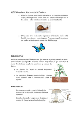 CEIP Al-Ándalus (Chiclana de la Frontera)
o Moluscos: pueden ser acuáticos o terrestres. Su cuerpo blando tiene
un pie para desplazarse. Suelen tener una concha formada por una o
dos partes, o estar enrollada en espiral. Ej. Caracol de huerta.
o Artrópodos: viven en todos los lugares de la Tierra. Su cuerpo está
dividido en regiones y presenta patas. Poseen un esqueleto externo
que mudan periódicamente para crecer. Ej. Mariposa.
REINO PLANTAS
Las plantas son seres vivos pluricelulares que fabrican su propio alimento, es decir,
son autrótofos y que pueden moverse, pero no desplazarse, ya que viven fijas al
suelo. Se clasifican en: plantas con flores y plantas sin
flores.
 Las plantas con flores se pueden reproducir
mediante semillas.
 Las plantas sin flores no tienen semillas y emplean
otros sistemas para su reproducción, como las
esporas.
REINO HONGOS
Los hongos comparten características de las
plantas y de los animales, aunque son distintos
de ambos.
Como las plantas, los hongos no se desplazan y
muchos de ellos viven en el suelo. Como los
 