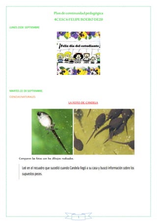 Plan de continuidadpedagógica
4CESC6 FELIPE BOERO DE20
1
LUNES 21DE SEPTIEMBRE
MARTES 22 DE SEPTIEMBRE.
CIENCIASNATURALES
...
