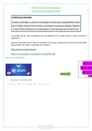 Plan de continuidadpedagógica
4CESC6 FELIPE BOERO DE20
2
¿Es posible que las crías (renacuajos) sean tan diferentes de los...