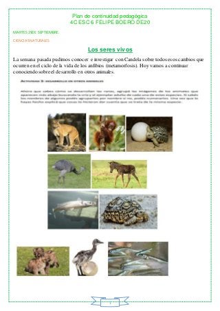 Plan de continuidad pedagógica
4C ESC 6 FELIPE BOERO DE20
1
MARTES 29DE SEPTIEMBRE.
CIENCIASNATURALES
Los seres vivos
La s...