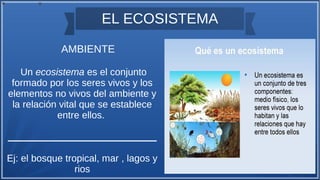 EL ECOSISTEMA
AMBIENTE
Un ecosistema es el conjunto
formado por los seres vivos y los
elementos no vivos del ambiente y
la relación vital que se establece
entre ellos.
Ej: el bosque tropical, mar , lagos y
rios
 