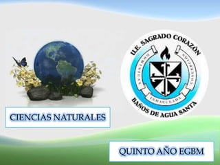 Earth Butterflies
A Celebration of our Planet
CIENCIAS NATURALES
QUINTO AÑO EGBM
 