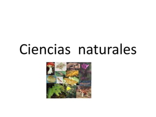 Ciencias  naturales 