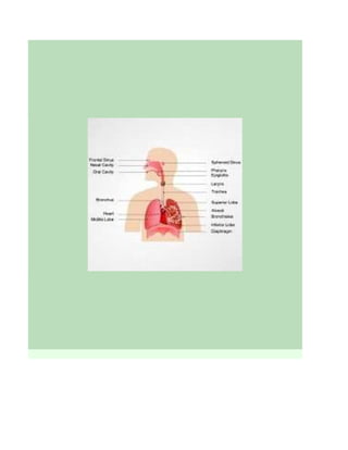 Ciencias naturales integrada a las tic  completa