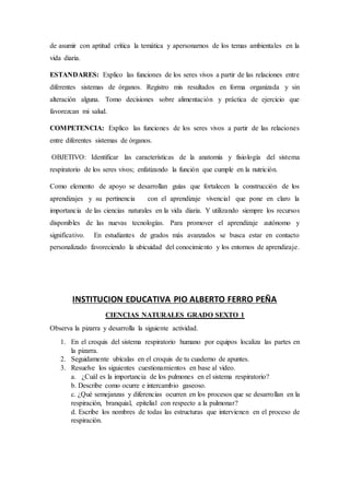 de asumir con aptitud crítica la temática y apersonarnos de los temas ambientales en la
vida diaria.
ESTANDARES: Explico las funciones de los seres vivos a partir de las relaciones entre
diferentes sistemas de órganos. Registro mis resultados en forma organizada y sin
alteración alguna. Tomo decisiones sobre alimentación y práctica de ejercicio que
favorezcan mi salud.
COMPETENCIA: Explico las funciones de los seres vivos a partir de las relaciones
entre diferentes sistemas de órganos.
OBJETIVO: Identificar las características de la anatomía y fisiología del sistema
respiratorio de los seres vivos; enfatizando la función que cumple en la nutrición.
Como elemento de apoyo se desarrollan guías que fortalecen la construcción de los
aprendizajes y su pertinencia con el aprendizaje vivencial que pone en claro la
importancia de las ciencias naturales en la vida diaria. Y utilizando siempre los recursos
disponibles de las nuevas tecnologías. Para promover el aprendizaje autónomo y
significativo. En estudiantes de grados más avanzados se busca estar en contacto
personalizado favoreciendo la ubicuidad del conocimiento y los entornos de aprendizaje.
INSTITUCION EDUCATIVA PIO ALBERTO FERRO PEÑA
CIENCIAS NATURALES GRADO SEXTO 1
Observa la pizarra y desarrolla la siguiente actividad.
1. En el croquis del sistema respiratorio humano por equipos localiza las partes en
la pizarra.
2. Seguidamente ubícalas en el croquis de tu cuaderno de apuntes.
3. Resuelve los siguientes cuestionamientos en base al video.
a. ¿Cuál es la importancia de los pulmones en el sistema respiratorio?
b. Describe como ocurre e intercambio gaseoso.
c. ¿Qué semejanzas y diferencias ocurren en los procesos que se desarrollan en la
respiración, branquial, epitelial con respecto a la pulmonar?
d. Escribe los nombres de todas las estructuras que intervienen en el proceso de
respiración.
 