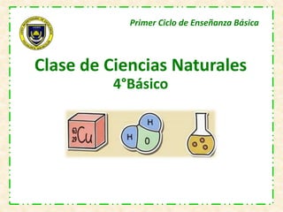 Clase de Ciencias Naturales
4°Básico
Primer Ciclo de Enseñanza Básica
 