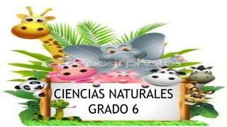 CIENCIAS NATURALES
GRADO 6
 